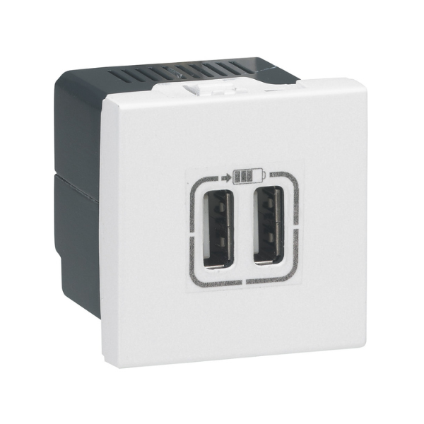 Dual USB Charger Socket 572078 – Arteor Legrand